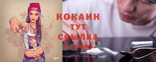 шишки Щёлкино