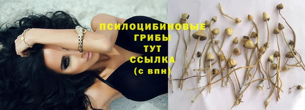 мдпв Дмитровск