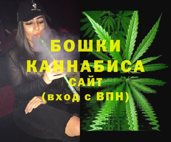 мдпв Дмитровск