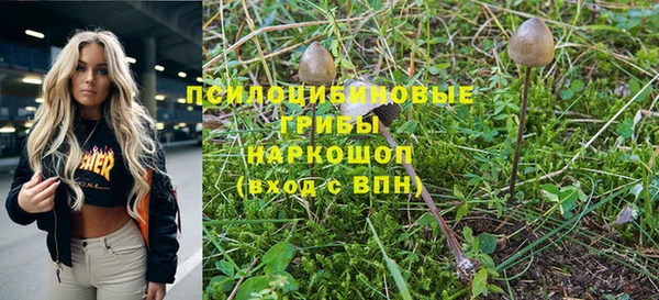 мдпв Дмитровск