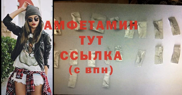мдпв Дмитровск