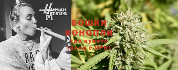 мдпв Дмитровск