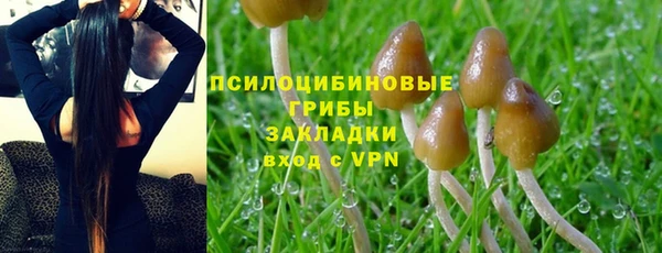 мдпв Дмитровск