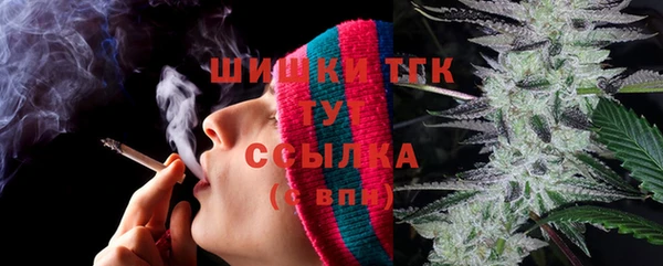 ешки Дмитриев