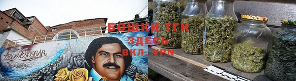 стаф Щигры