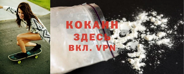 ешки Дмитриев
