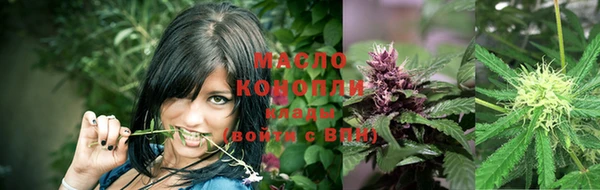 ешки Дмитриев