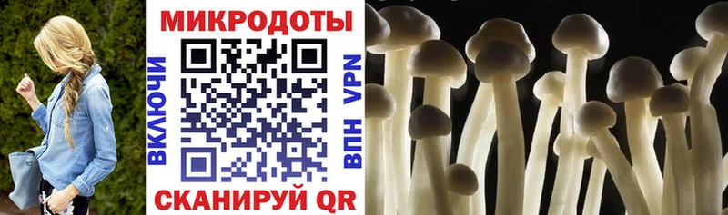 MEGA ТОР  Зима  Галлюциногенные грибы ЛСД 