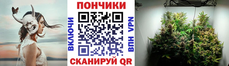 Марихуана OG Kush  даркнет сайт  сайты даркнета формула  Зима 