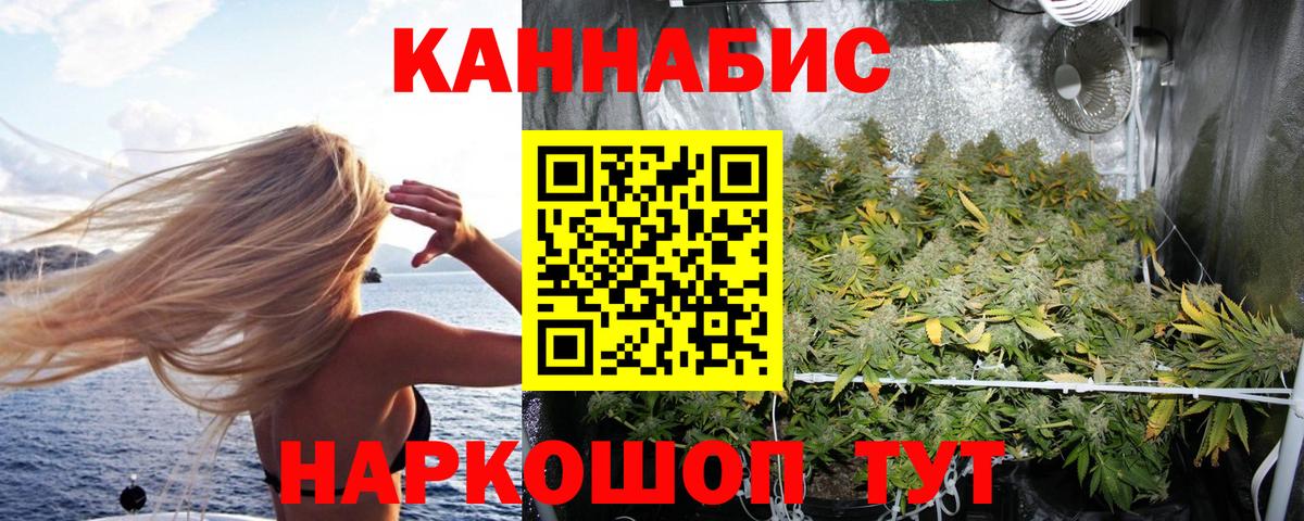 Бошки Шишки планчик  Бошки Шишки LSD WEED  Зима  Бошки Шишки тримм  МАРИХУАНА OG Kush 